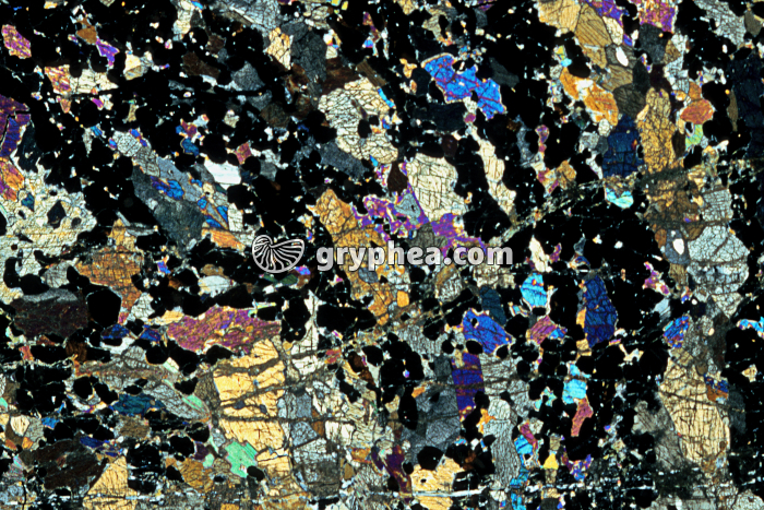 Eclogite LPA x3,5 - gryphea.org